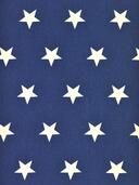 Sf. 6991 Astre 006 marine