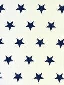 Sf. 6991 Astre blanc - marine 005