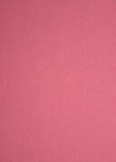 Bb.32725-33 babyroze