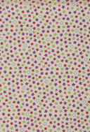 Sf. 4559 Estrella 001 Anis