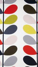 Eijff.7743-1 Two Leaved